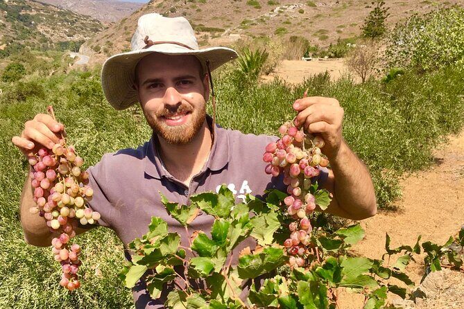 Wine Tasting and Tour in Saint Anna Winery in Naxos - Transport, timing, and how to avoid stress