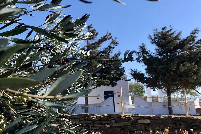 Wine Tasting and Tour in Saint Anna Winery in Naxos - Who should book this tour, and who should skip it