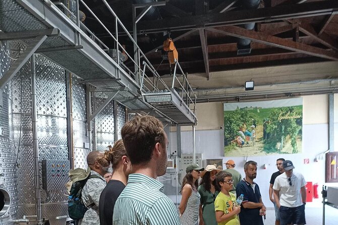 Wine Tasting Experience from Thessaloniki - A 40-Minute Walk Through the Vineyard and Museum