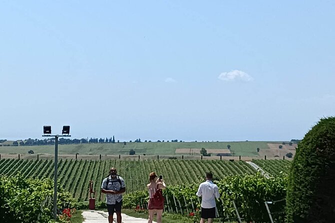 Wine Tasting Experience from Thessaloniki - Five 40ml Pours Made From Greek Grapes