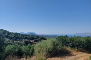 Wine Tasting: Meet the Cretan Vineyard at West Chania - Native and rare Cretan varieties: what to look for as you taste