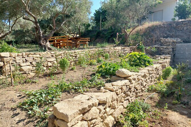 Wine Tasting: Meet the Cretan Vineyard at West Chania - Who should book this Meet the Cretan Vineyard tasting?