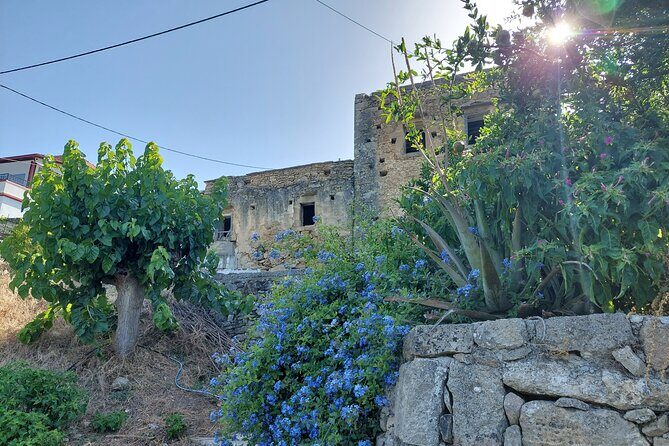 Wine Tasting: Meet the Cretan Vineyard at West Chania - Should you book it?
