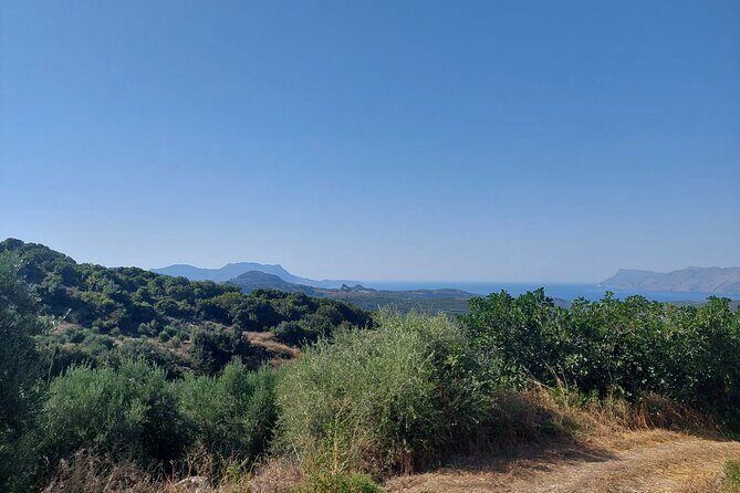 Wine Tasting: Meet the Cretan Vineyard at West Chania - Native and rare Cretan varieties: what to look for as you taste