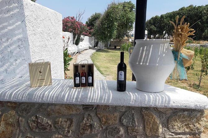Wine Tasting Tour at a traditional farm in Mykonos - Arriving at the Traditional Farm: A Cozy Wine Corner, Not a Factory Tour