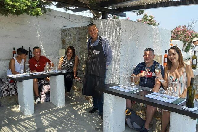 Wine Tasting Tour at a traditional farm in Mykonos - The Four-Wine Flight: Expect a White, Rosé, Light Red, and Red