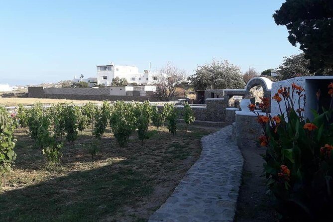 Wine Tasting Tour at a traditional farm in Mykonos - Snack With Local Products: Nice Pairing, But Plan Like It’s Not Dinner