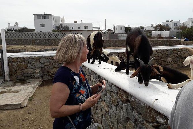 Wine Tasting Tour at a traditional farm in Mykonos - Group Size and Pace: A Relaxing Break From Mykonos Town