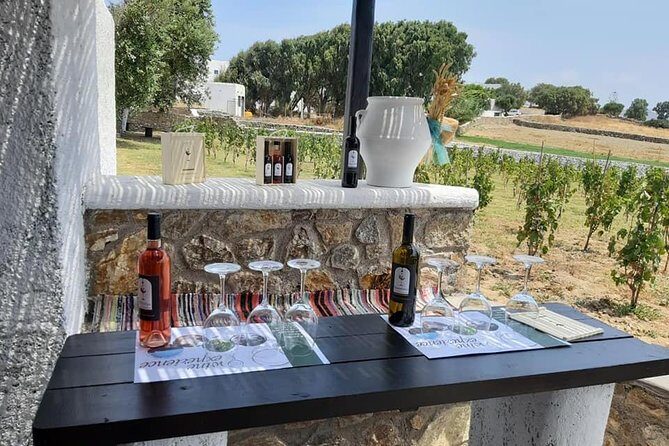 Wine Tasting Tour at a traditional farm in Mykonos - What Might Disappoint You: A Small-Scale Farm Setup and Variable Snacks
