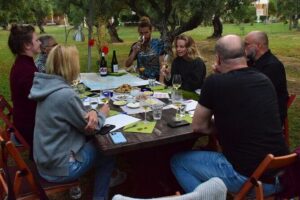 Wine Tasting with Panagiotis aka Chilly August - Your first chapter: the olive grove table and introductions