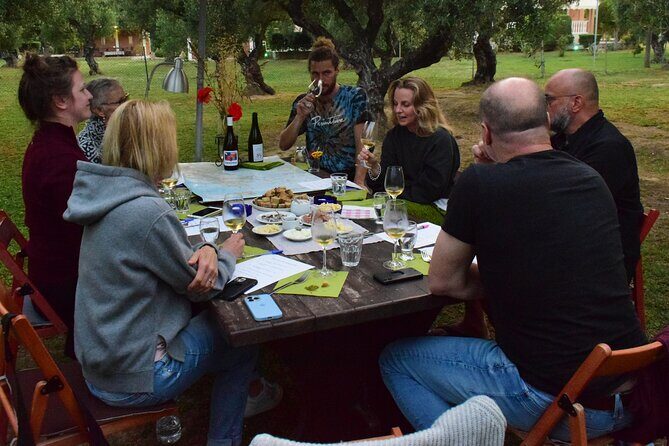 Wine Tasting with Panagiotis aka Chilly August - Your first chapter: the olive grove table and introductions