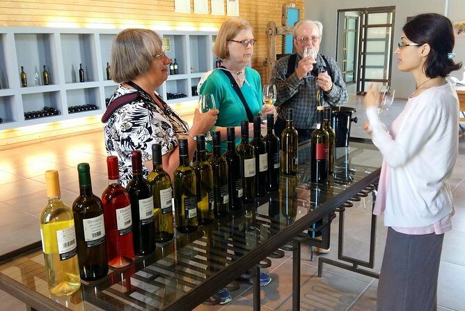 Wine Trails Private Tour/ Nemea visit 3 wineries from Athens or Nafplion (10 h) - A Full Day of Wine Country From Athens, Built for Convenience