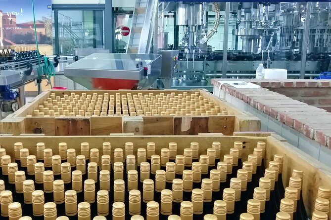 Wine Trails Private Tour/ Nemea visit 3 wineries from Athens or Nafplion (10 h) - Nemea: Where the Wine Country Part Actually Takes Over