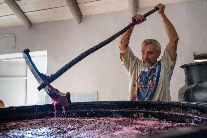 Winery Tour and Tasting in Zakynthos with the Winemaker - Sitting down for seven wines and local food