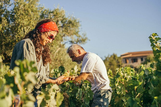 Winery Tour and Tasting in Zakynthos with the Winemaker - Meeting the winemaker and estate hosts