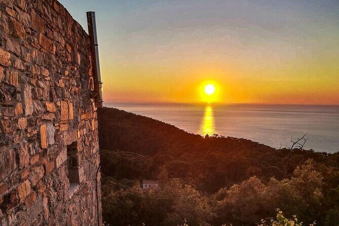 Winery Tour and Wine Tasting at Karimalis Winery in Ikaria - Wine Tasting: A Full Range, Paired with Farm Snacks