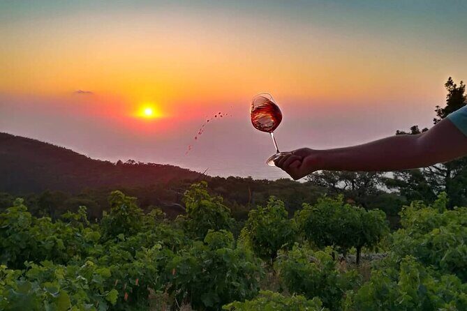 Winery Tour and Wine Tasting at Karimalis Winery in Ikaria - Timing, Weather, and What to Plan Around