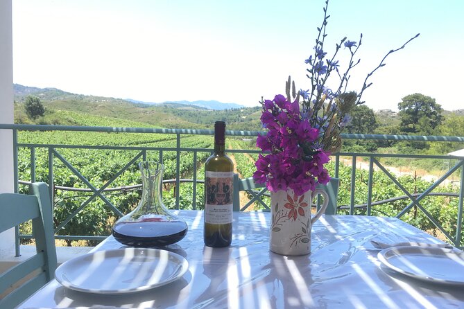 Winery Tour, Tasting and cooking with the Winemaker in Rhodes - Key points at a glance