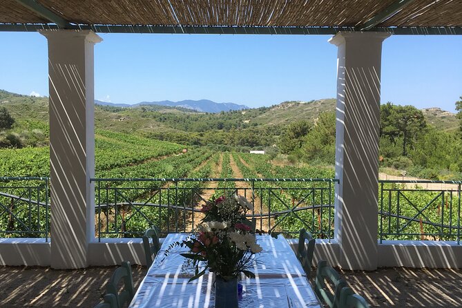 Winery Tour, Tasting and cooking with the Winemaker in Rhodes - Cooking traditional Rhodes dishes with Jason
