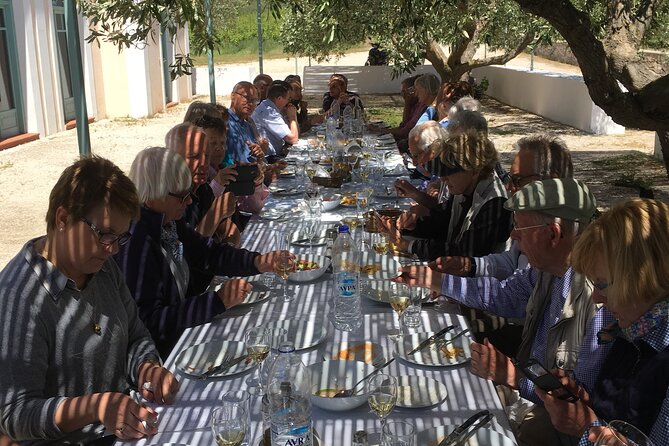 Winery Tour, Tasting and cooking with the Winemaker in Rhodes - Learning how Rhodes makes tsipouro
