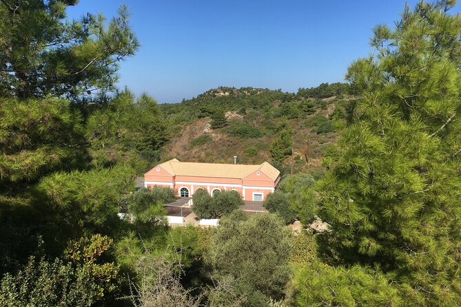 Winery Tour, Tasting and cooking with the Winemaker in Rhodes - What the $94.93 price includes in practical terms