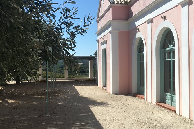 Winery Tour, Tasting and cooking with the Winemaker in Rhodes - Timing, meeting point, and cancellation details