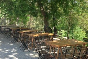 Winery tour with Wine and Olive tasting in Corfu - Two organic Theotoky wines: how the tasting is structured
