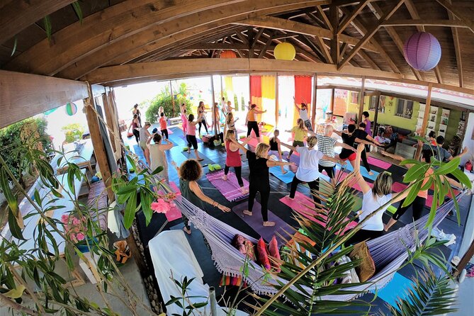 Yoga Drop In Classes - Yoga above the sea at The Egg Greece