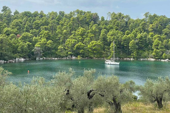 Your Mamma Mia Adventure on Skopelos Island - Timing, Comfort, and Who Should Book