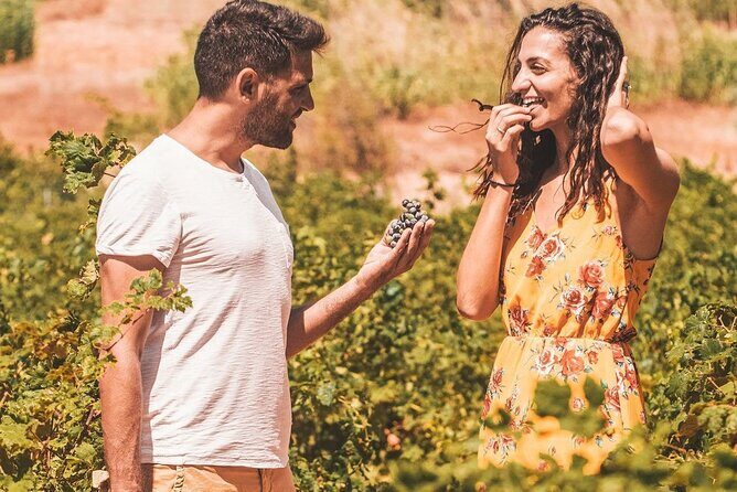 Your Private Driver & Chauffeur Service in Crete from Chania - Skip-the-Line Help and Tickets: What’s Included vs. Extra