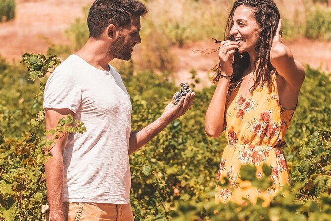Your Private Driver & Chauffeur Service in Crete from Heraklion - Airports and Cruise Ports: Meet-and-Greet With Luggage Help