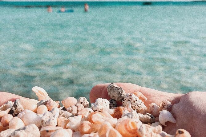 Your Tailored Elafonisi Escape. Luxury Day Tour from Elounda. - Finding a local taverna in Chania Prefecture