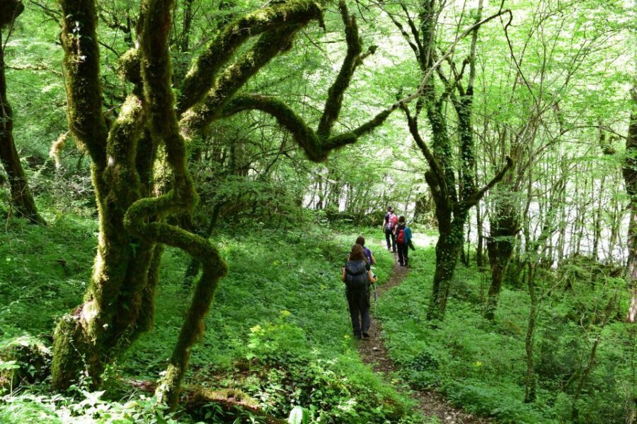 Zagori: Vikos Gorge full-day guided hike - Why Vikos Gorge from Monodendri feels like a geology lesson
