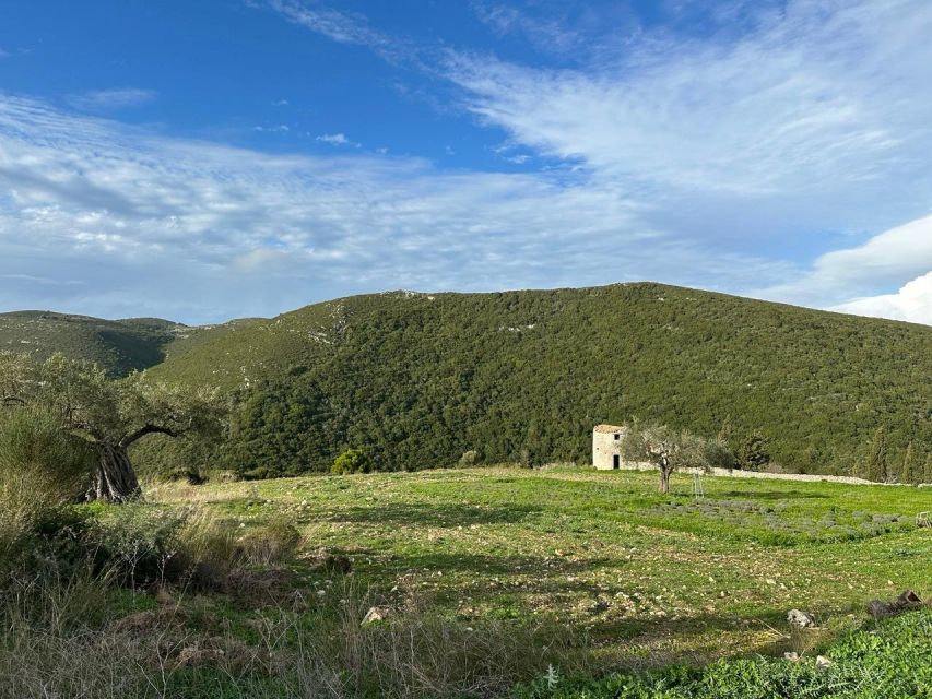 Zakynthos 4x4 off-road experience with Lunch - Who should book this outing?