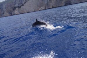 Zakynthos All Day Tour Shipwreck beach, view point-Blue Caves - Pickup, air-conditioning, and the small-group comfort reality