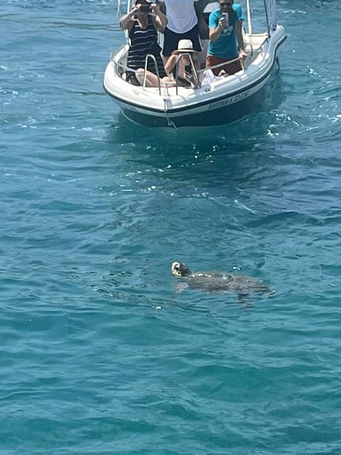 Zakynthos:Cruise Around the Island&Turtles by Eurosky - Returning Through Vasilikos and Zakynthos Town