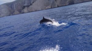 Zakynthos: early morning Shipwreck,Blue Caves and view point - From Porto Vromi to Navagio: a quick sail and a smart photo plan