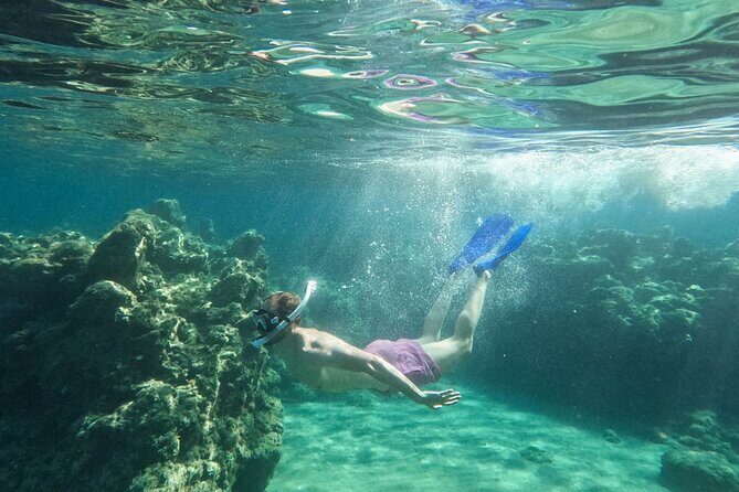 Zakynthos: Glass Bottom Turtle Boat Tour to Keri Caves & Islands - Booking thoughts: small moves that make the day better