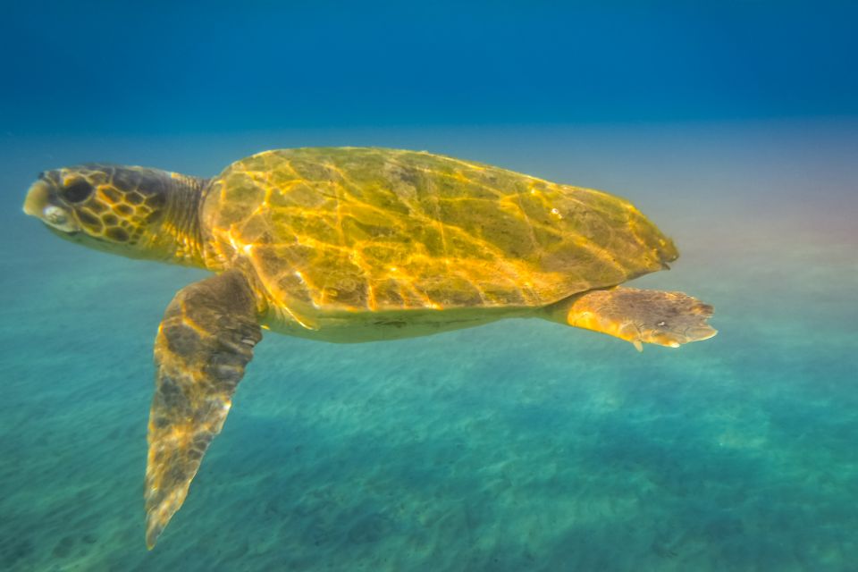 Zakynthos: Guided Boat Cruise to Turtle Island & Keri Caves - Cruising the Keri Caves and rocky southern coast
