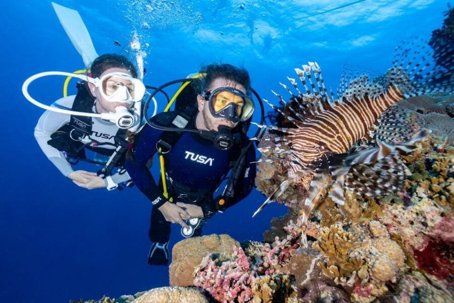 Zakynthos: Scuba Diving Experience with Underwater Photos - Turtles and Keri caves: what this Zakynthos water trip really delivers