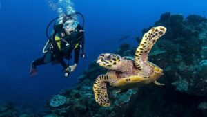 Zakynthos: Scuba Diving Experience with Underwater Photos - Getting from Agios Sostis to Marathonissi by boat