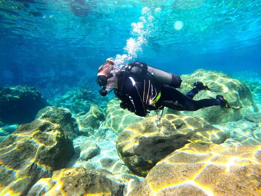 Zakynthos: Scuba Diving Experience with Underwater Photos - Marathonissi Turtle Island: what you’ll see and how to set expectations
