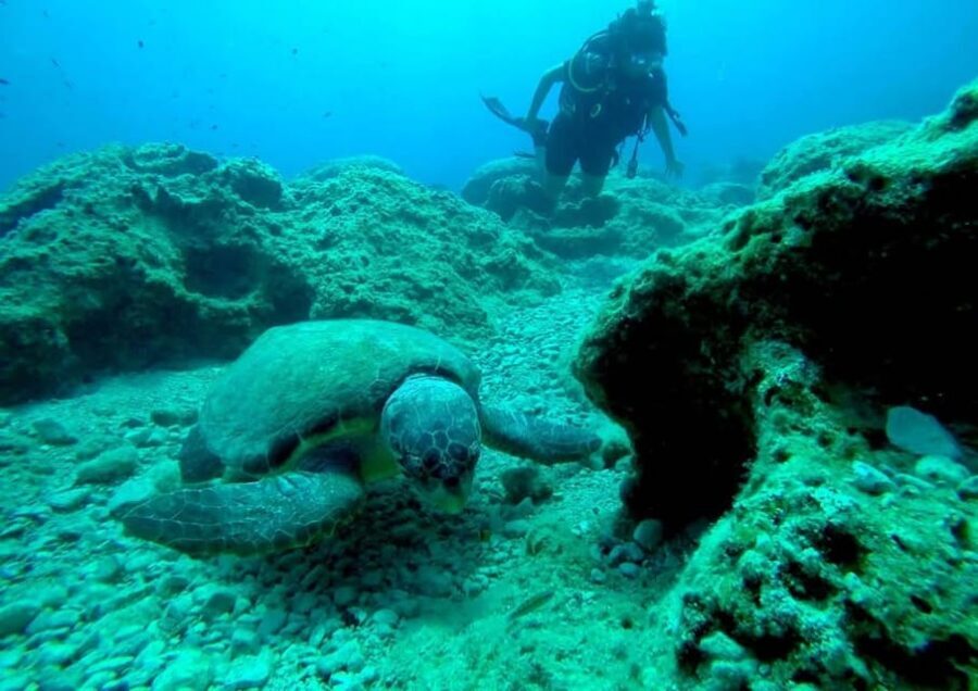 Zakynthos: Scuba Diving Experience with Underwater Photos - Keri caves: the second underwater stop that changes the feel