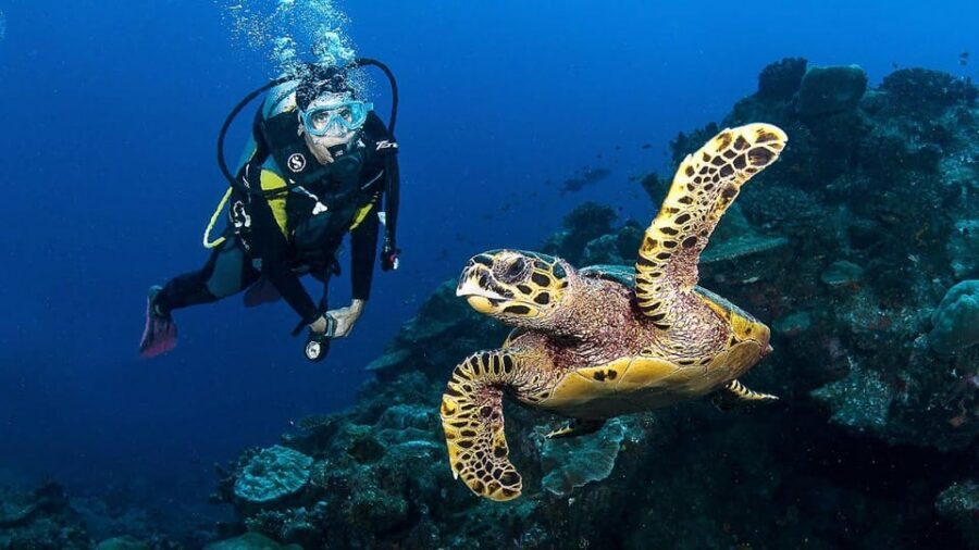 Zakynthos: Scuba Diving Experience with Underwater Photos - Getting from Agios Sostis to Marathonissi by boat