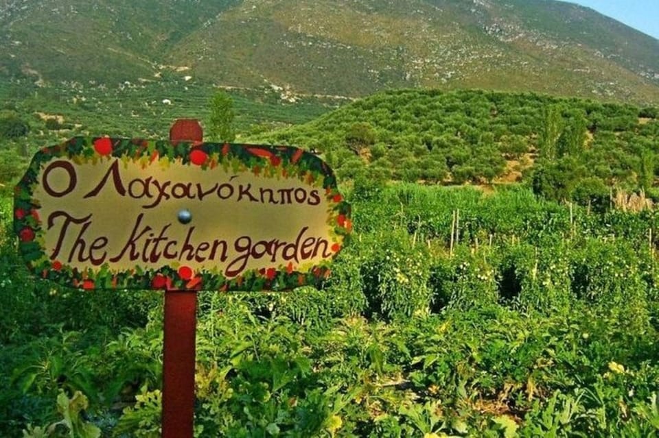 Zakynthos Sunset Tour to Kampi with Greek Night! - Who will get the most from this tour