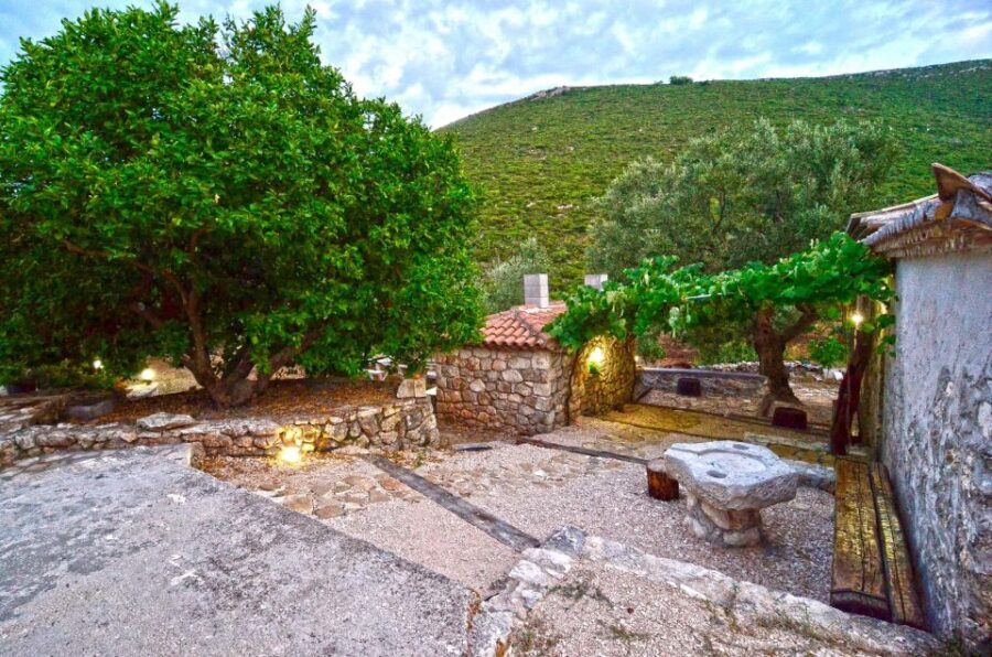Zakynthos: Vineyard & Winery Tour with Local Winemaker - Tasting 6 wines with bread, olive oil, cheeses, and fig syrup