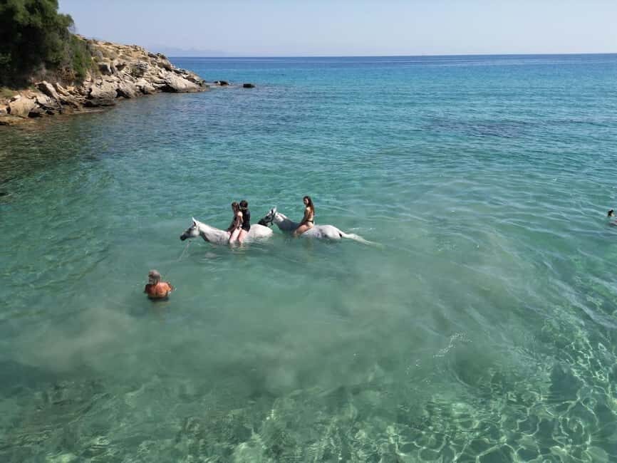 Zakynthos: Yotomu Horse Riding and Swimming Experience - Key things to know before you go