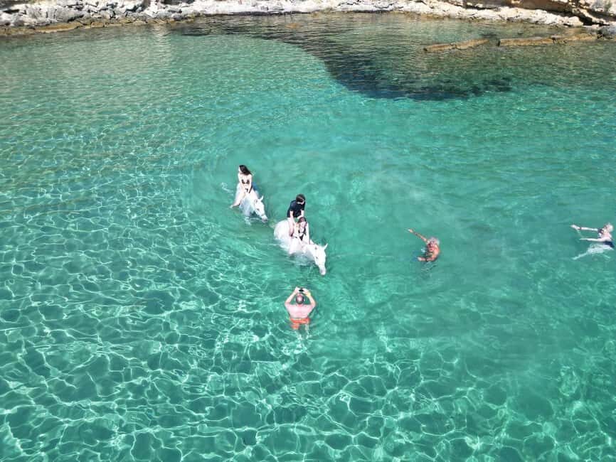 Zakynthos: Yotomu Horse Riding and Swimming Experience - Guide and Communication: English, Greek, and How to Make It Easy