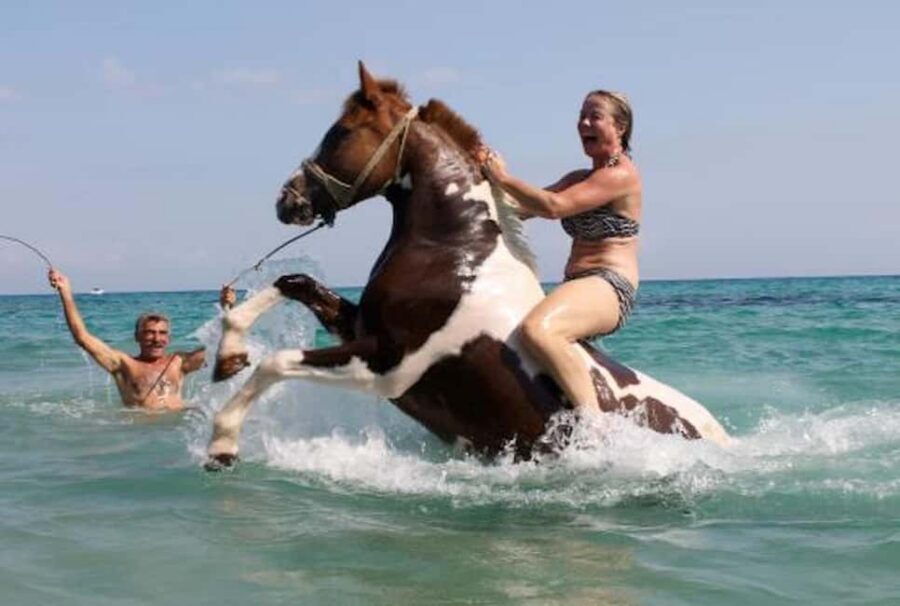 Zakynthos: Yotomu Horse Riding and Swimming Experience - Entering the Yannis Horses Farm in Kato Gerakari