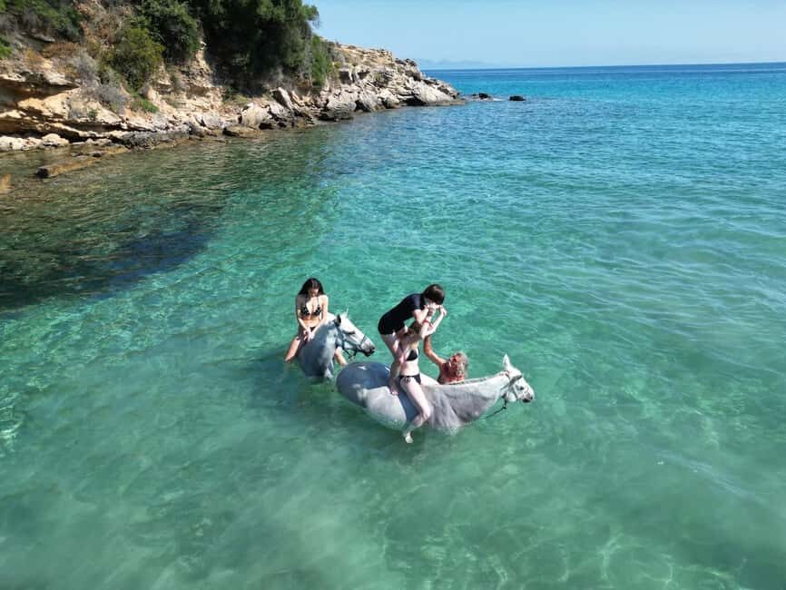 Zakynthos: Yotomu Horse Riding and Swimming Experience - The Trail on Zakynthos: Olive Groves, Vineyards, and Sea Views